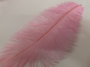 Ostrich Feather Large 